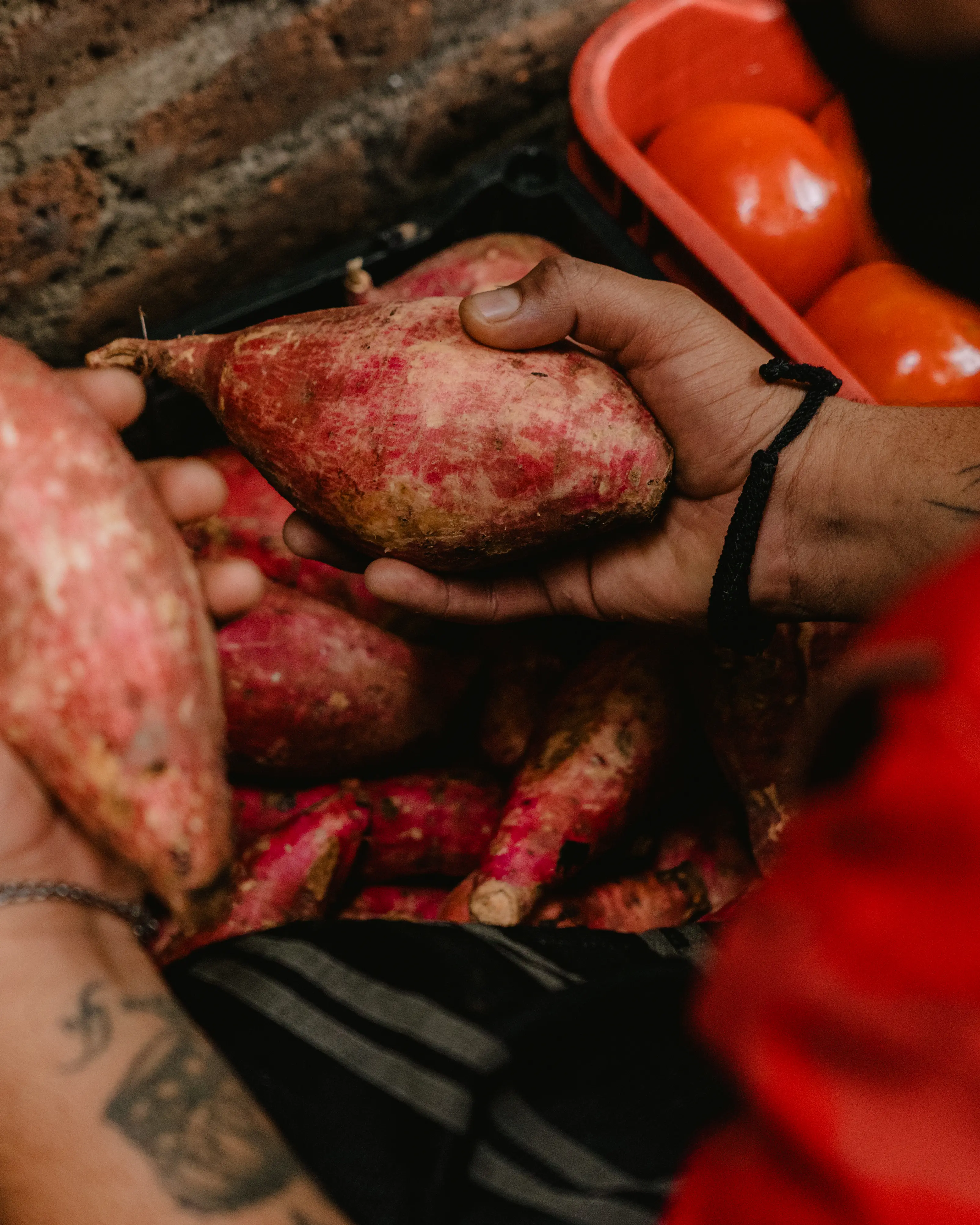 Seleccionamos los mejores productos